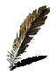 aged feather