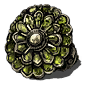 cloranthy ring