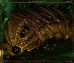 cragslipper razorback nightcrawler enemies dark souls2 wiki guide