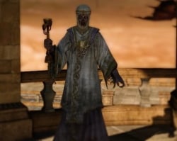 dark priestess enemies dark souls2 wiki guide