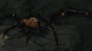 ducal spider enemies dark souls2 wiki guide