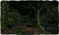 Forest Of Fallen Giants Dark Souls 2 Wiki