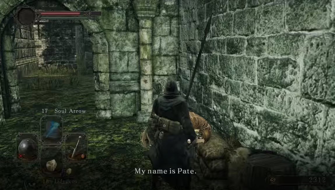 ds2 forest4pate