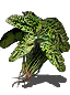 green_blossom.png