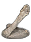 homeward bone